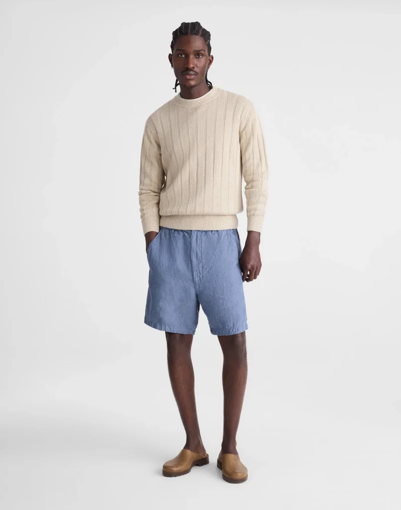 Light Blue Relaxed Fit Casual Shorts Thewoofox Elvarin Cendros